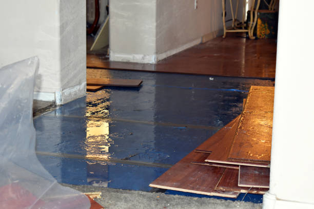 Professional Water Damage Restoration technician working in Washington, UT